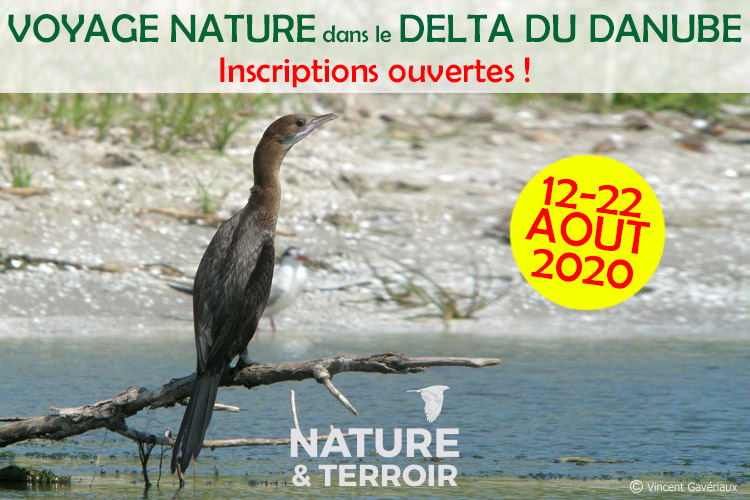 Voyage dans le delta du Danube 2020