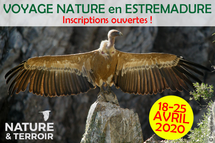 Voyage Estrémadure 2020